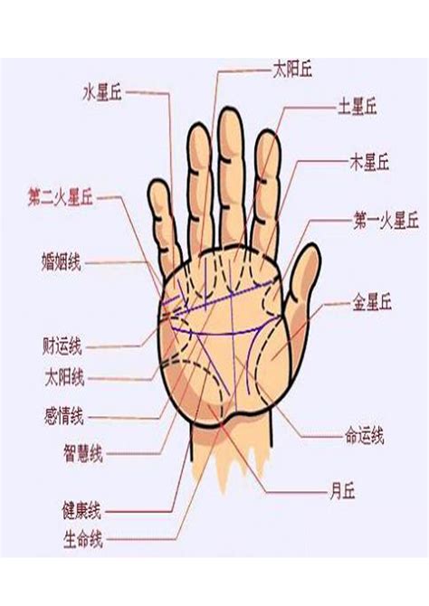 手指手相